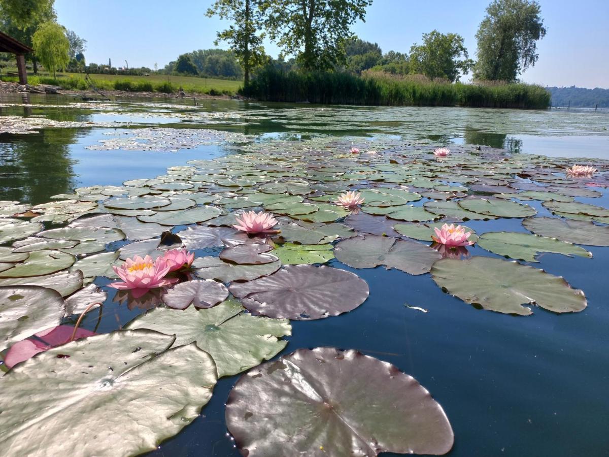 Appartamento Miralago Con Giardino Sul Lago Gavirate Exterior foto